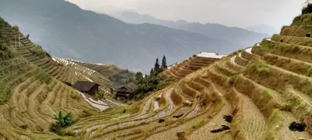 Rice terraces. Adventures in China!